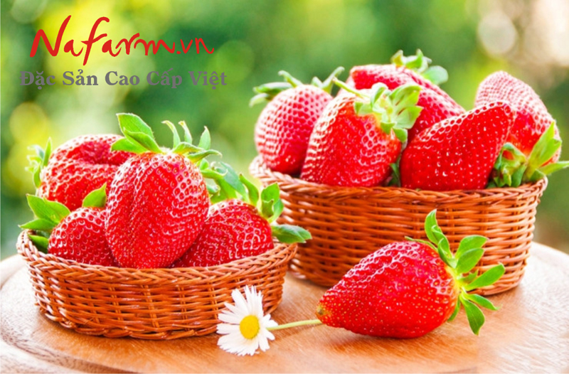 Dau-Tay-say-gion-dj&a