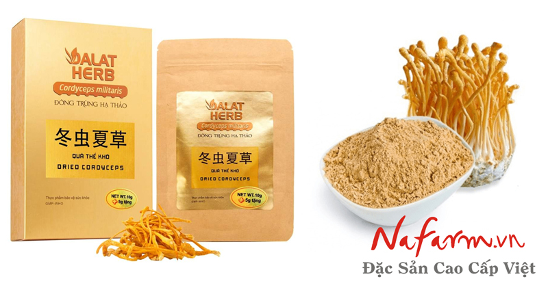 dong-trung-ha-thao-dang-bot