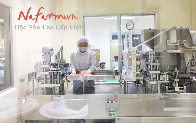 dong-trung-ha-thao-dang-bot