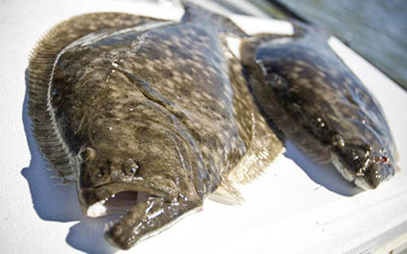 ca-bon-han-quoc-hai-san-dac-san-cao-cap-com ca-bon-han-quoc-hai-san-dac-san-cao-cap-com