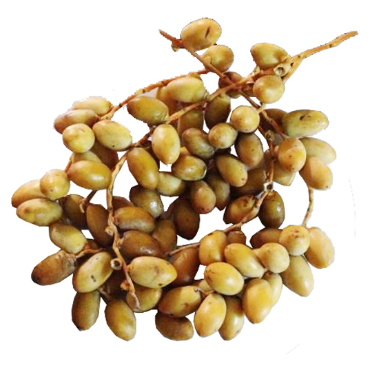 cha-la-nguyen-canh-nhap-khau-malaysia-dac-san-cao-cap-com