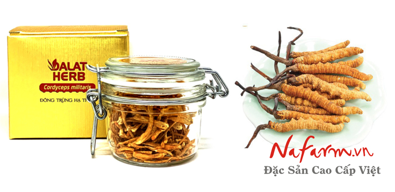 dong-trung-ha-thao-say-kho