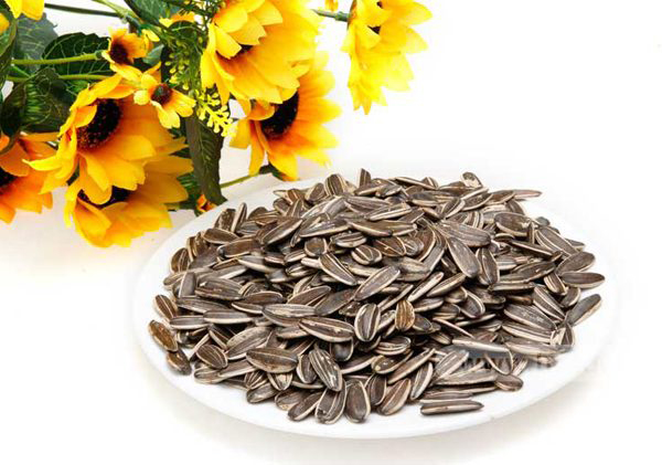 .hat-huong-duong-den-hieu-ba-gia-nhau-khau-nga-dac-san-cao-cap-com