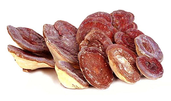 nam-linh-chi-tu-nhien-han-quoc-tui-vang-nau-dac-san-cao-cap-com