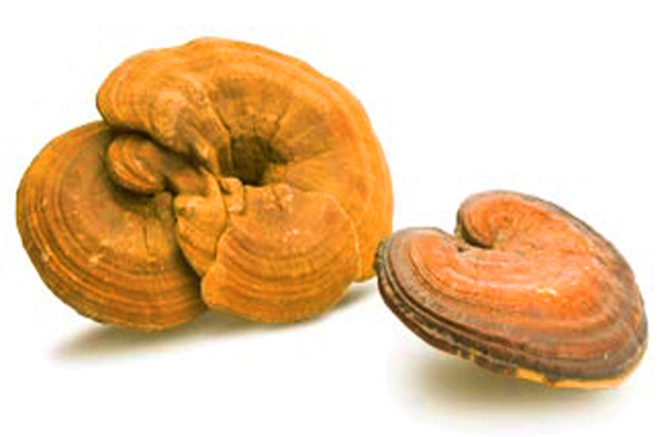 nam-linh-chi-vang-han-quoc-tui-hinh-2-nam-dac-san-cao-cap-com