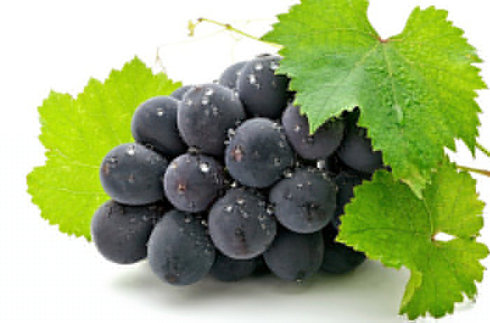 nho-kho-nguyen-canh-nhap-khau-uc-dac-san-cao-cap-com