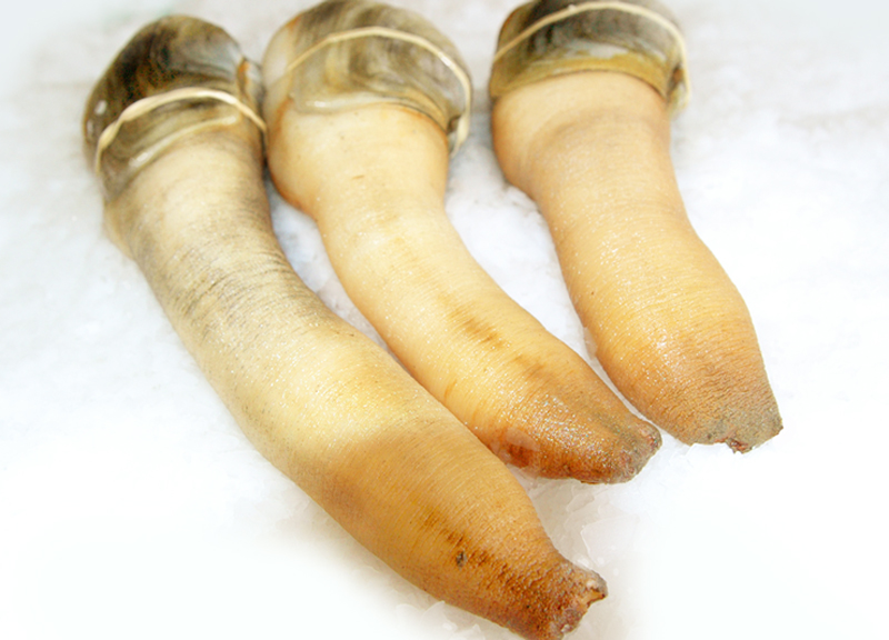 oc-voi-voi-tu-hai-hai-san-dac-san-cao-cap-com oc-voi-voi-tu-hai-hai-san-dac-san-cao-cap-com