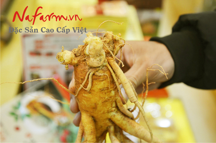 sam-tuoi-han-quoc-1-kg