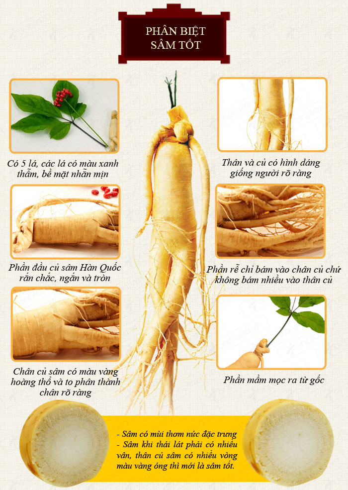 sam-tuoi-han-quoc-1-kg