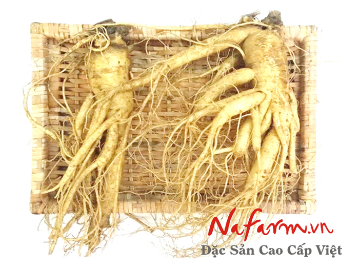 sam-tuoi-han-quoc-2-3-cu-1-kg