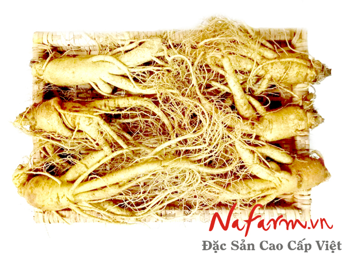 sam-tuoi-han-quoc-5-6-cu-1-kg