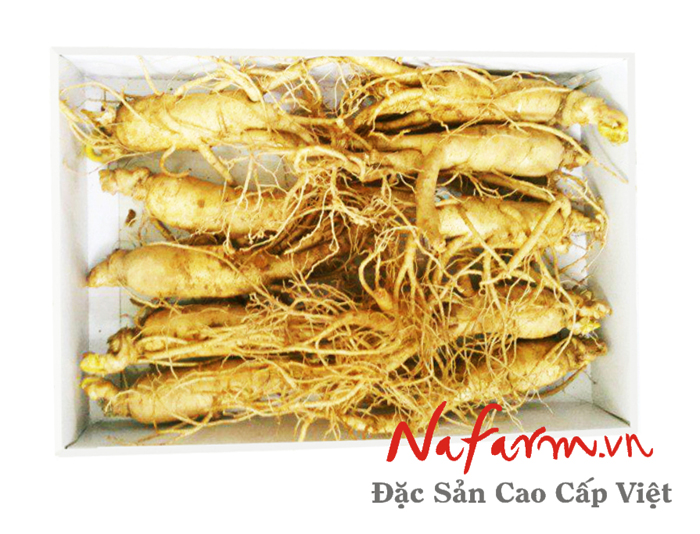 sam-tuoi-han-quoc-9-10-cu-1-kg