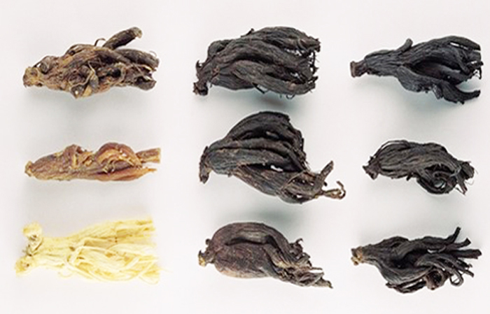 tinh-chat-hac-sam-cahi-3000ml-han-quoc-korea-dac-san-cao-cap-com tinh-chat-hac-sam-cahi-3000ml-han-quoc-korea-dac-san-cao-cap-com