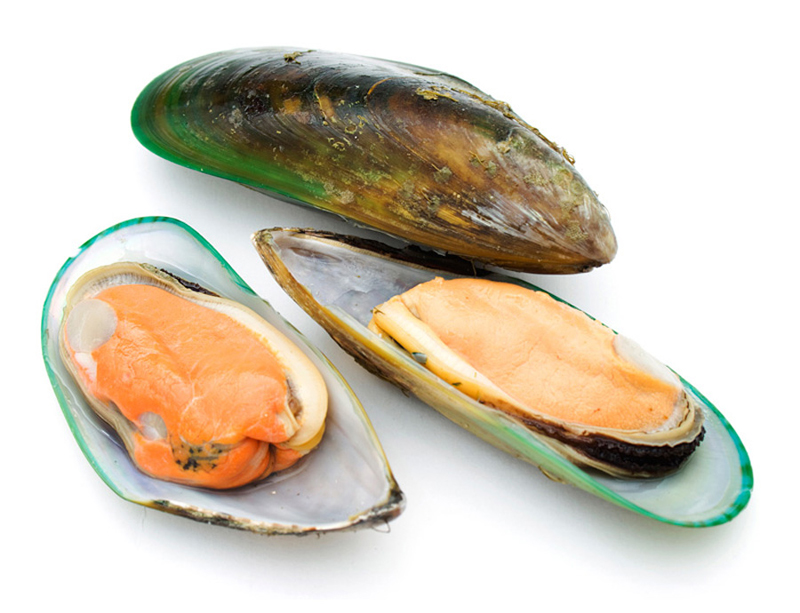 vem-xanh-new-zealand-hai-san-dac-san-cao-cap vem-xanh-new-zealand-hai-san-dac-san-cao-cap