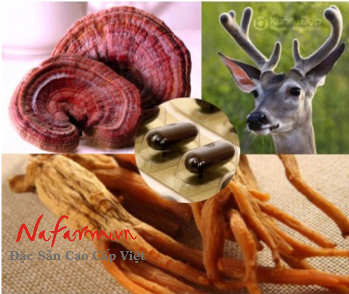 vien-dam-hong-sam-tong-hop-nhung-huou-linh-chi-sua-ong-chua-han-quoc-dac-san-cao-cap-com vien-dam-hong-sam-tong-hop-nhung-huou-linh-chi-sua-ong-chua-han-quoc-dac-san-cao-cap-com